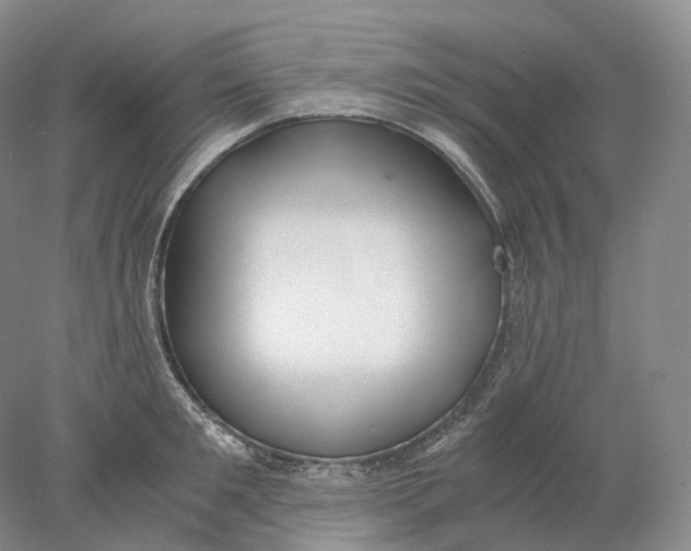 X0000078000901200611171817