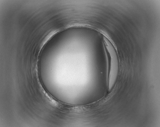 X0000078000906200611171817