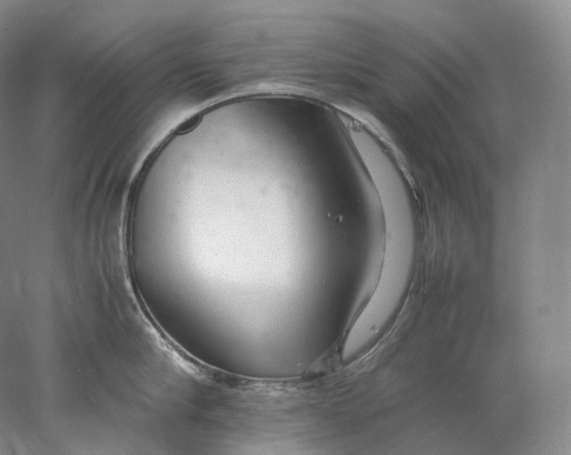 X0000078000910200611171817