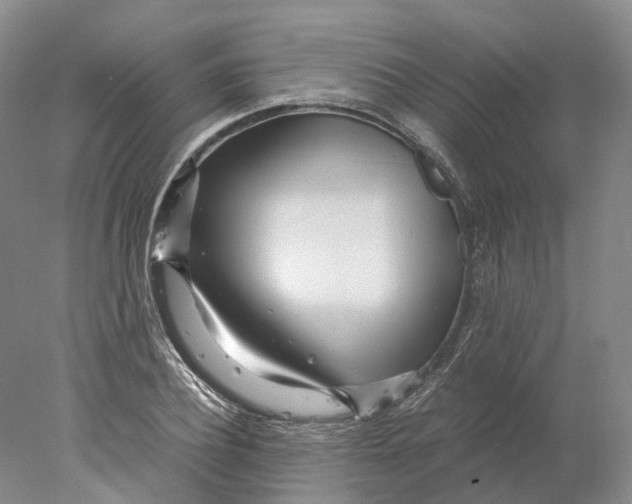X0000078000932200611171816