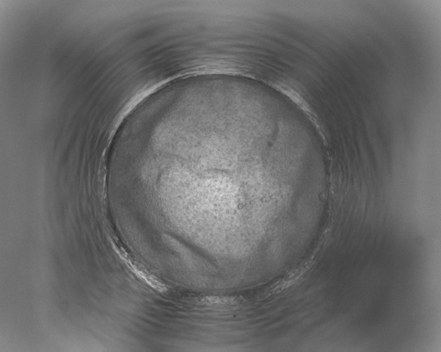 X0000078000933200611171817