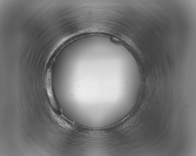 X0000078000934200611171817