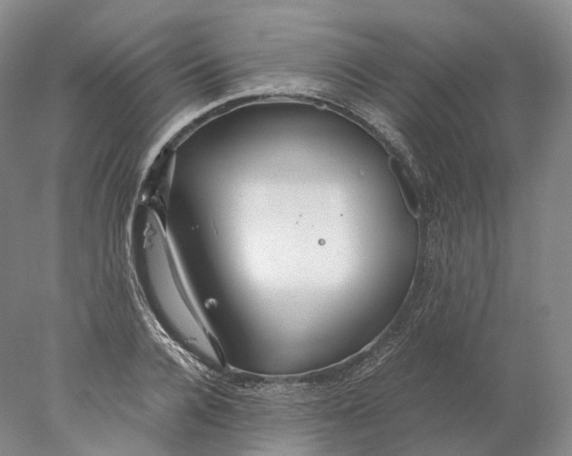 X0000078000936200611171817
