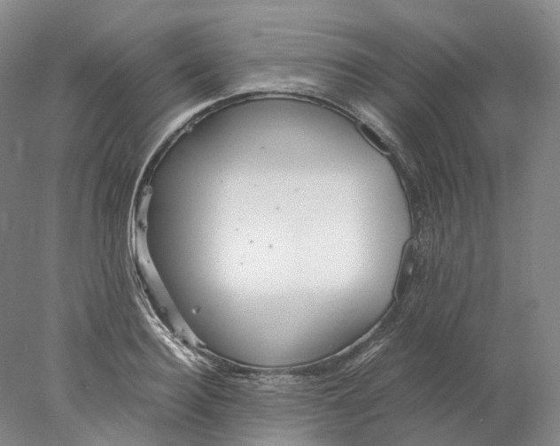 X0000078000940200611171817