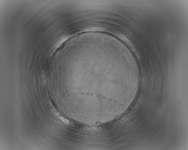 X0000078000945200611171817