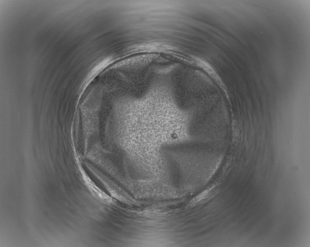 X0000078000946200611171817