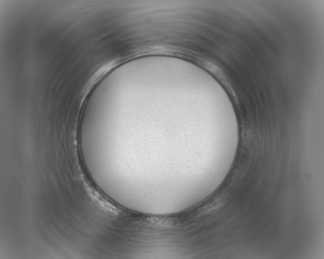 X0000078000954200611171817