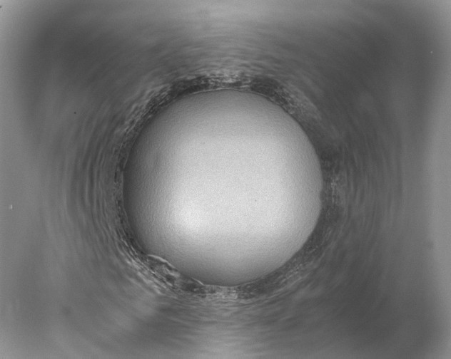 X0000078000961200611171816