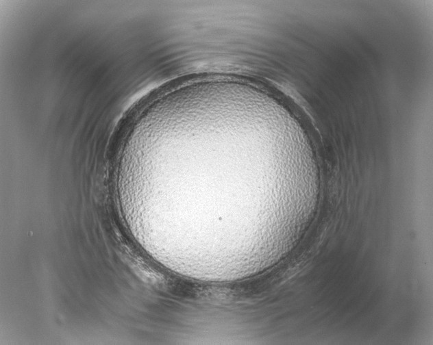 X0000078000971200611171816