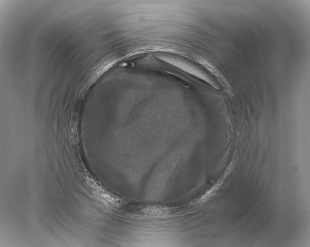 X0000078000977200611171816