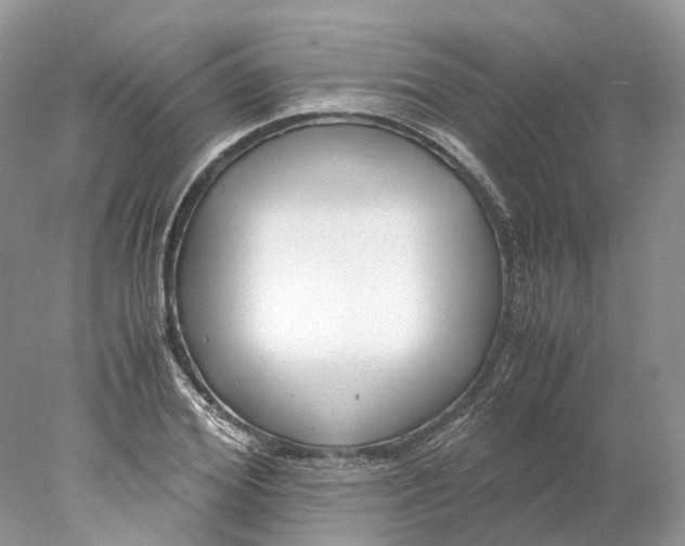 X0000078000980200611171816