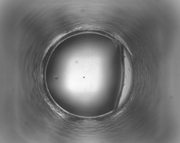 X0000078000981200611171816