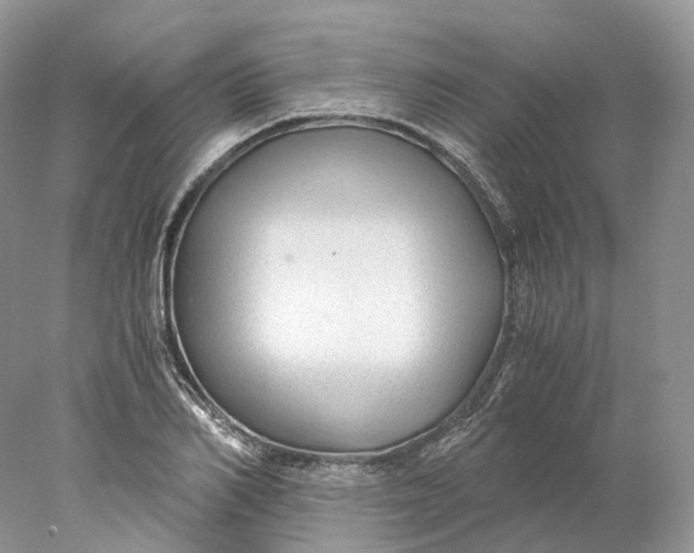 X0000078000982200611171816