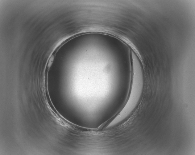 X0000078000996200611171816