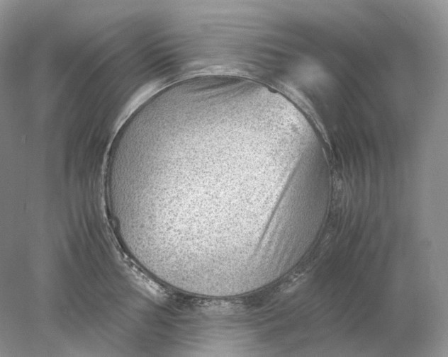 X0000078001002200611171815