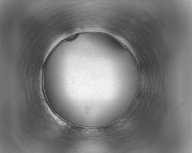 X0000078001006200611171815