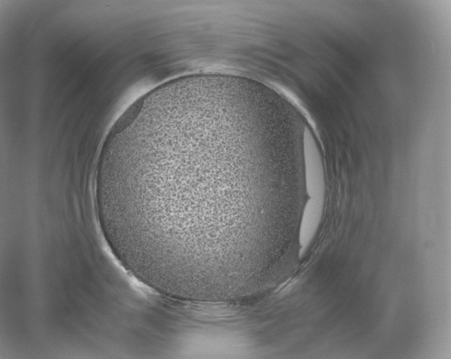 X0000078001007200611171815