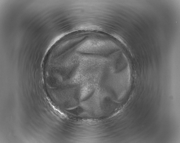 X0000078001022200611171815