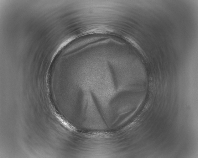 X0000078001026200611171815