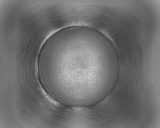 X0000078001032200611171815