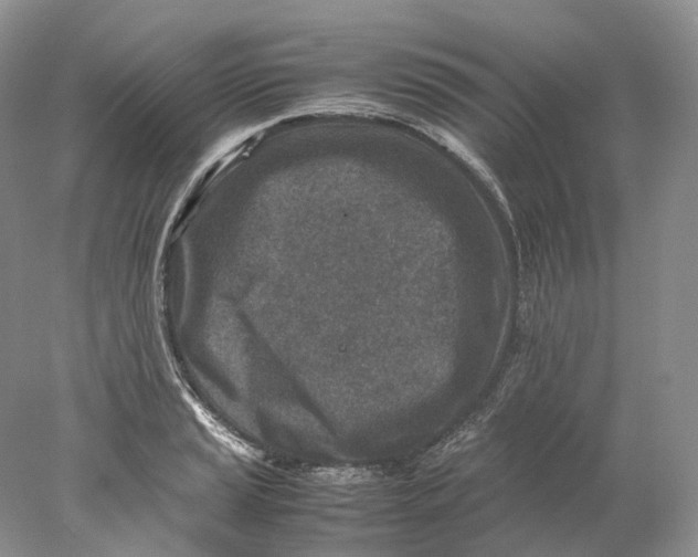 X0000078001037200611171815