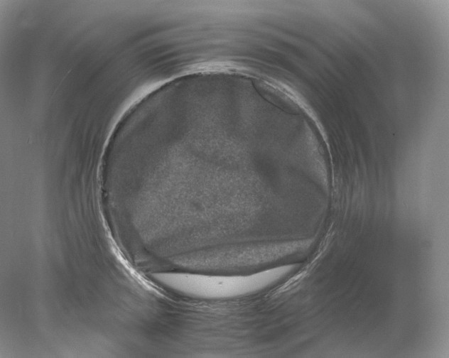 X0000078001045200611171815