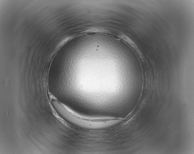 X0000078001049200611171815