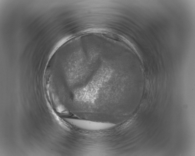 X0000078001050200611171815