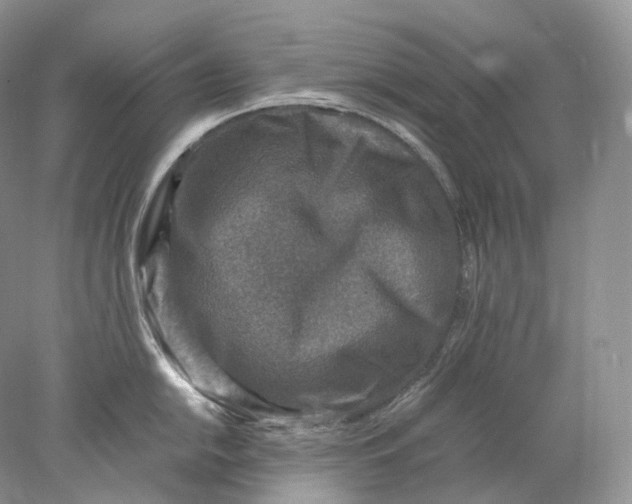 X0000078001054200611171815