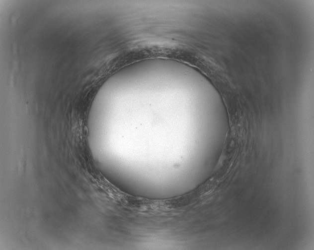 X0000078001061200611171814