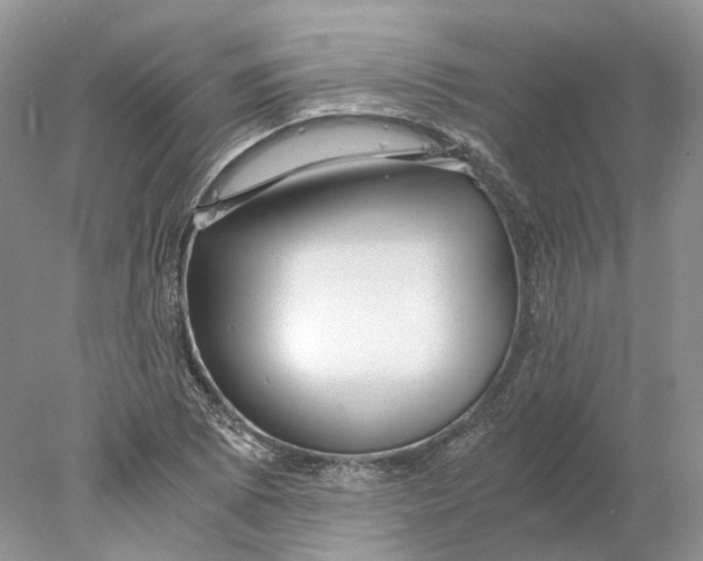 X0000078001073200611171814