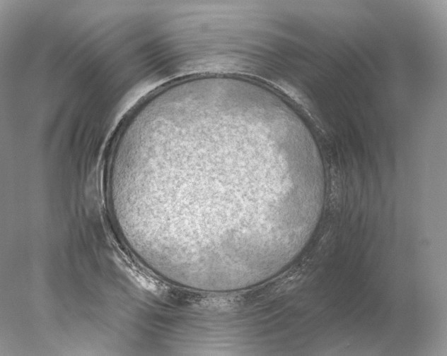 X0000078001078200611171814