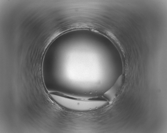 X0000078001089200611171814