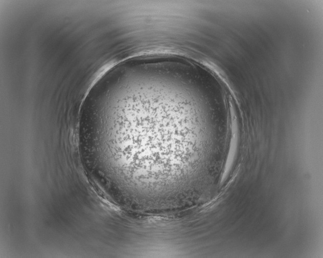 X0000078001097200611171814
