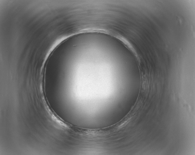 X0000078001102200611171814