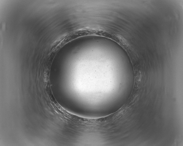 X0000078001110200611171813