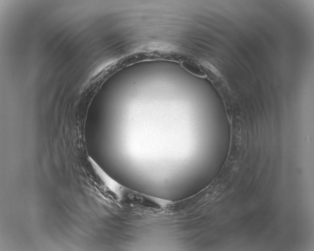 X0000078001112200611171813