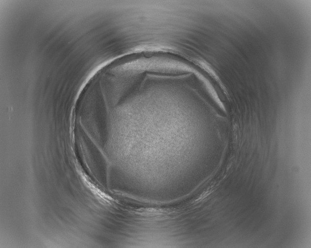 X0000078001124200611171813