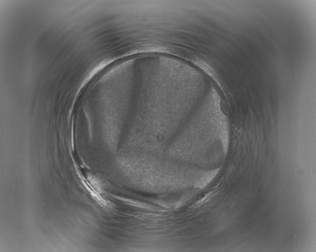 X0000078001127200611171813