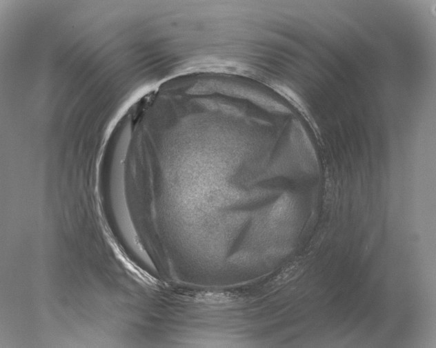 X0000078001128200611171813