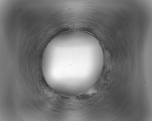 X0000078001153200611171813