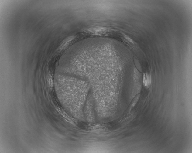 X0000078001155200611171813