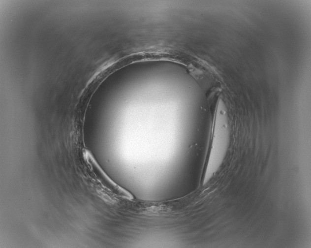 X0000078001160200611171813