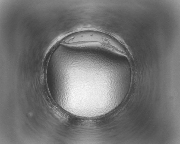 X0000078001167200611171813