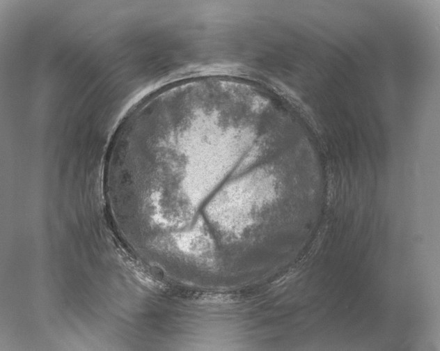 X0000078001174200611171813