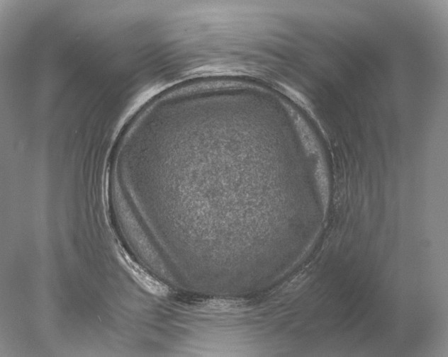 X0000078001179200611171812