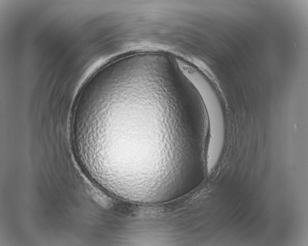 X0000078001183200611171812