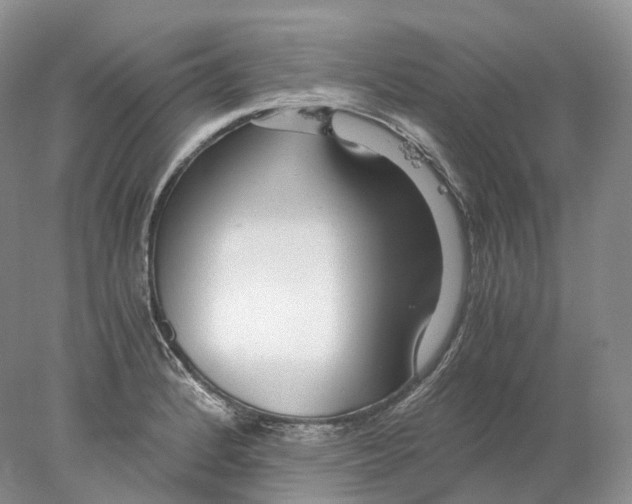 X0000078001184200611171812
