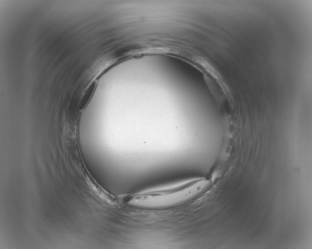 X0000078001193200611171812