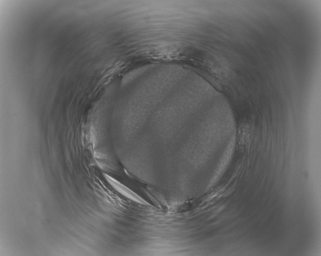 X0000078001202200611171811